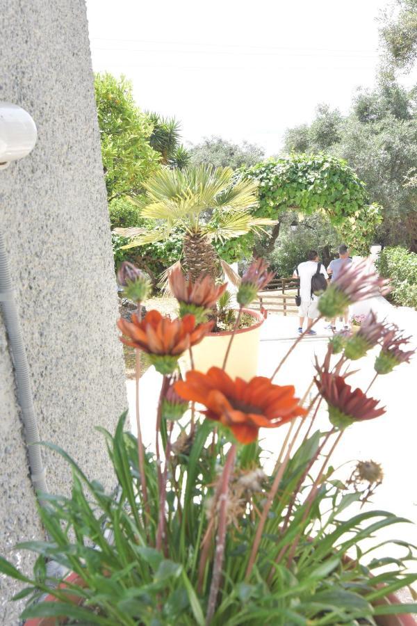 Baracunda Apartments برباتي المظهر الخارجي الصورة